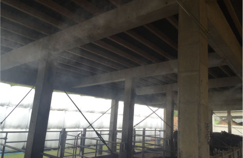 牛舎内に消臭一番のミストが広がっている様子