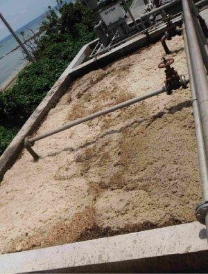 導入前の第一曝気槽 — スカム・泡が大量発生（2013年4月）