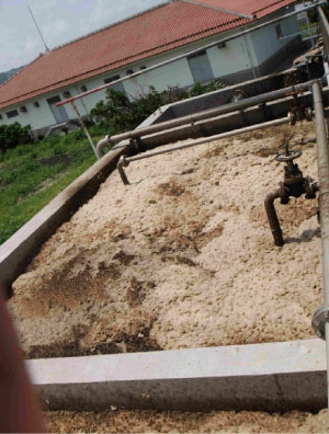 導入前の浄化槽（2013年5月）— ヘドロ状スカム