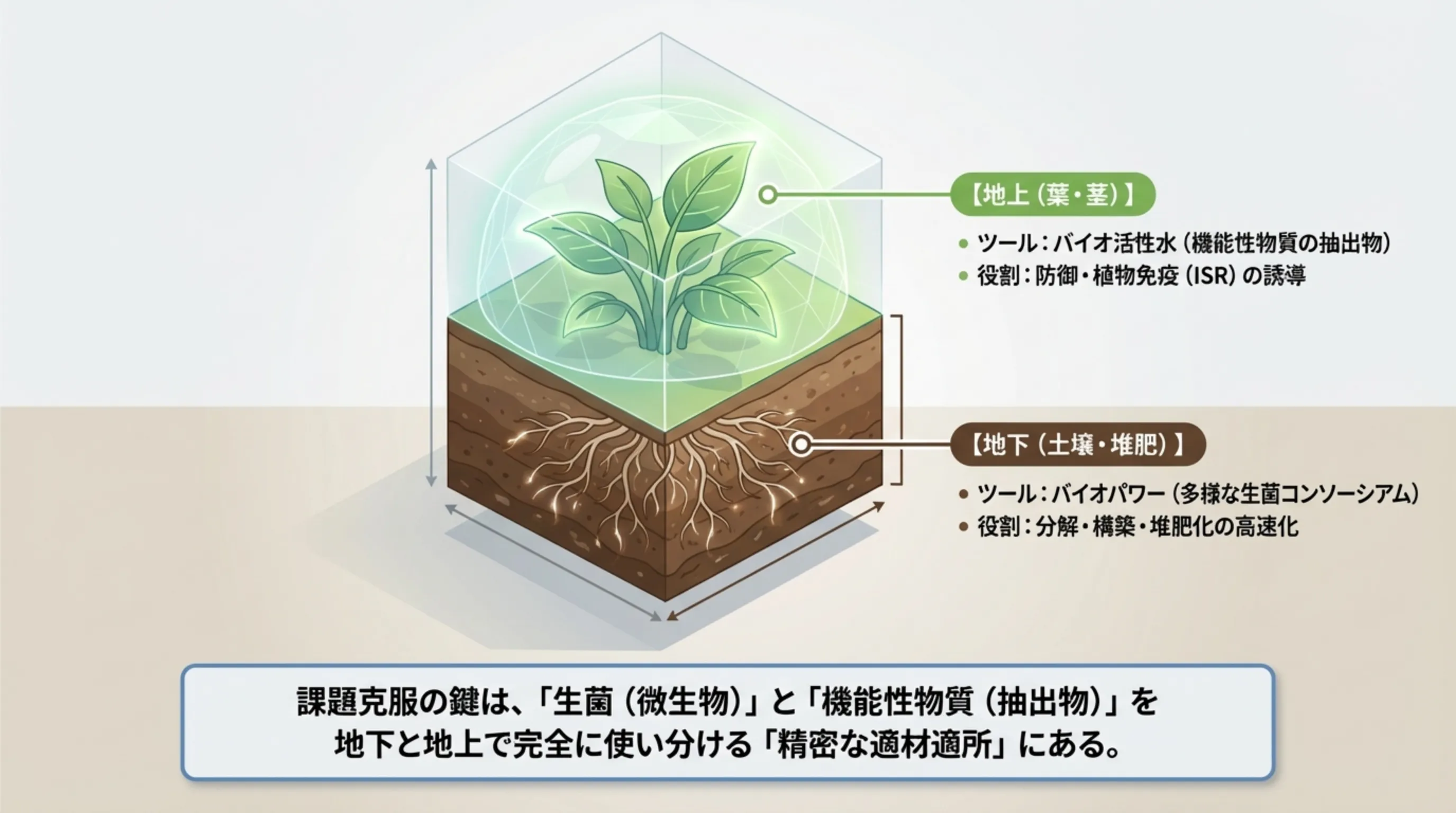 安定収量と低環境負荷の完全両立を示すシナジー図