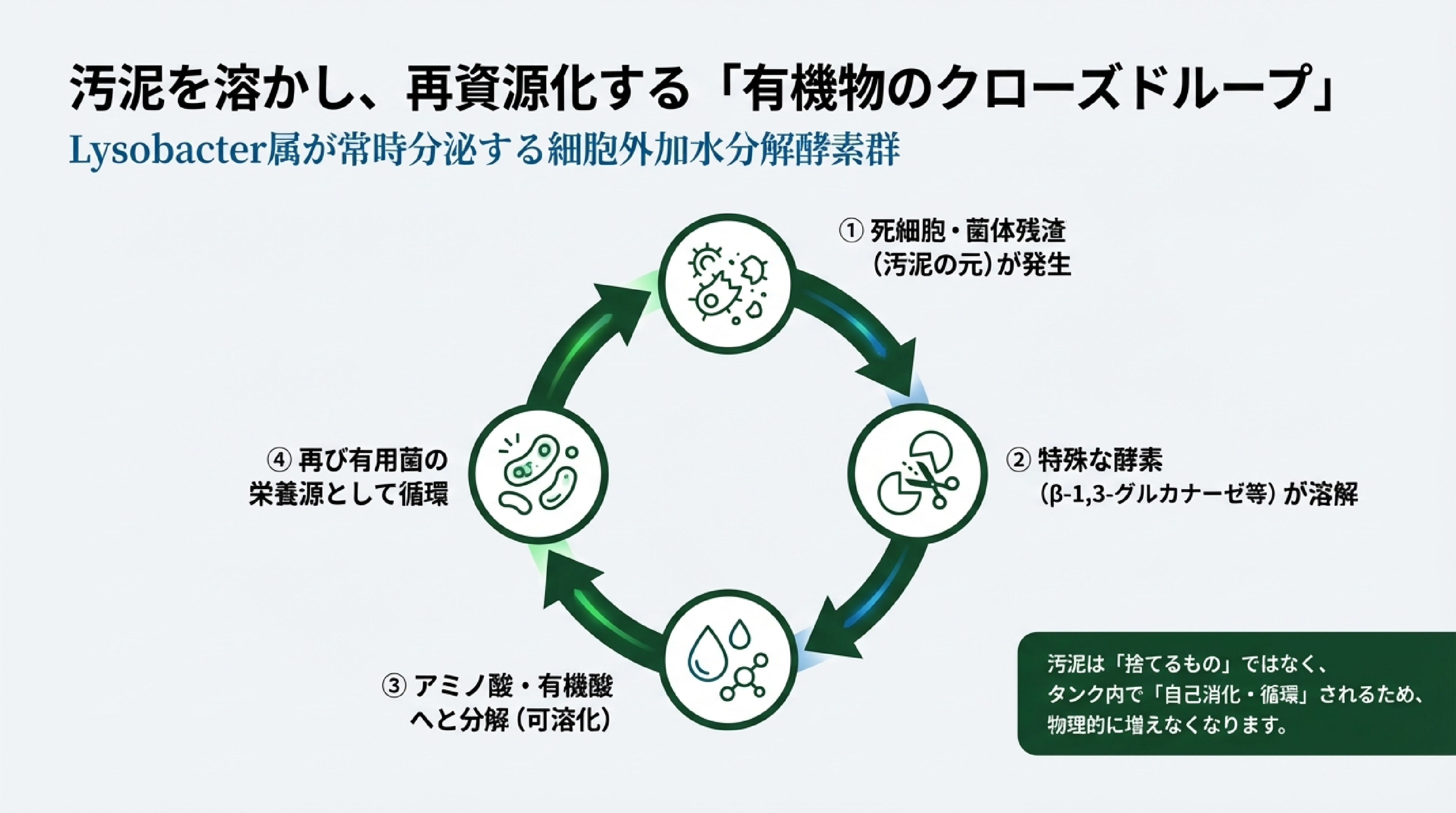 抗バイオフィルム効果