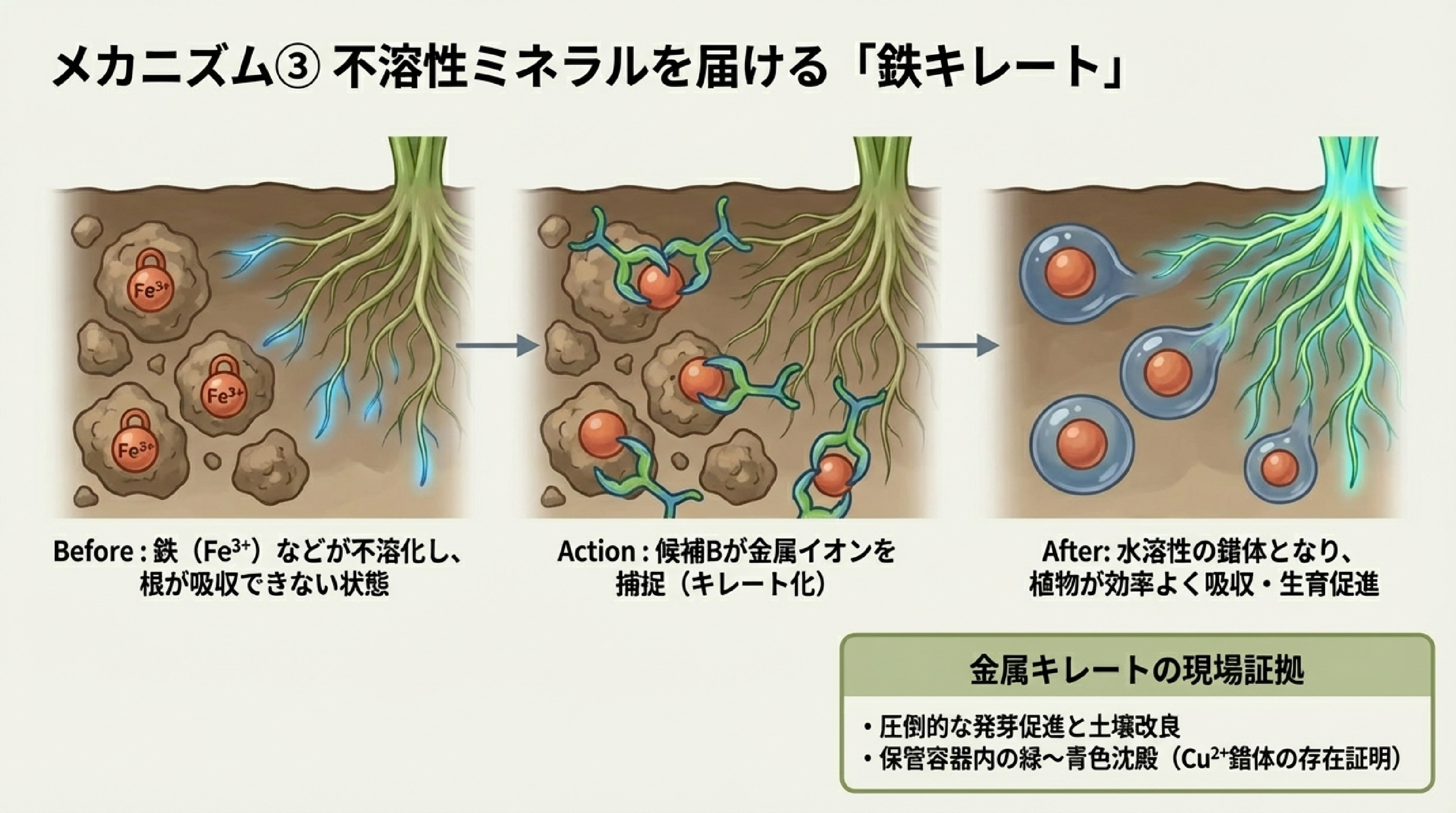 圃場実績データ