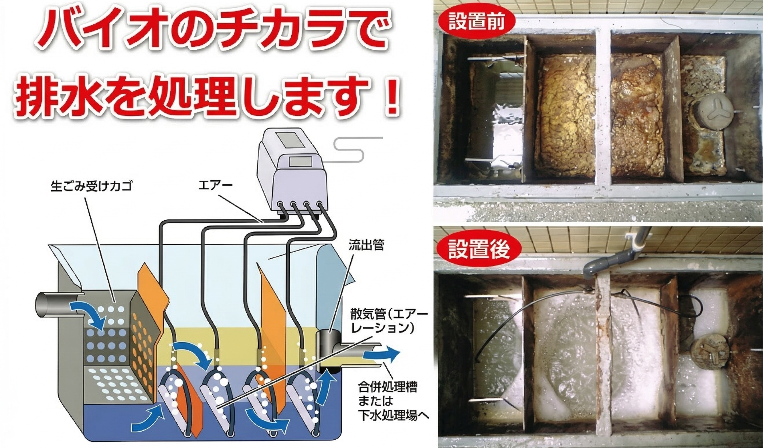 グリストラップへのバイオパワー導入