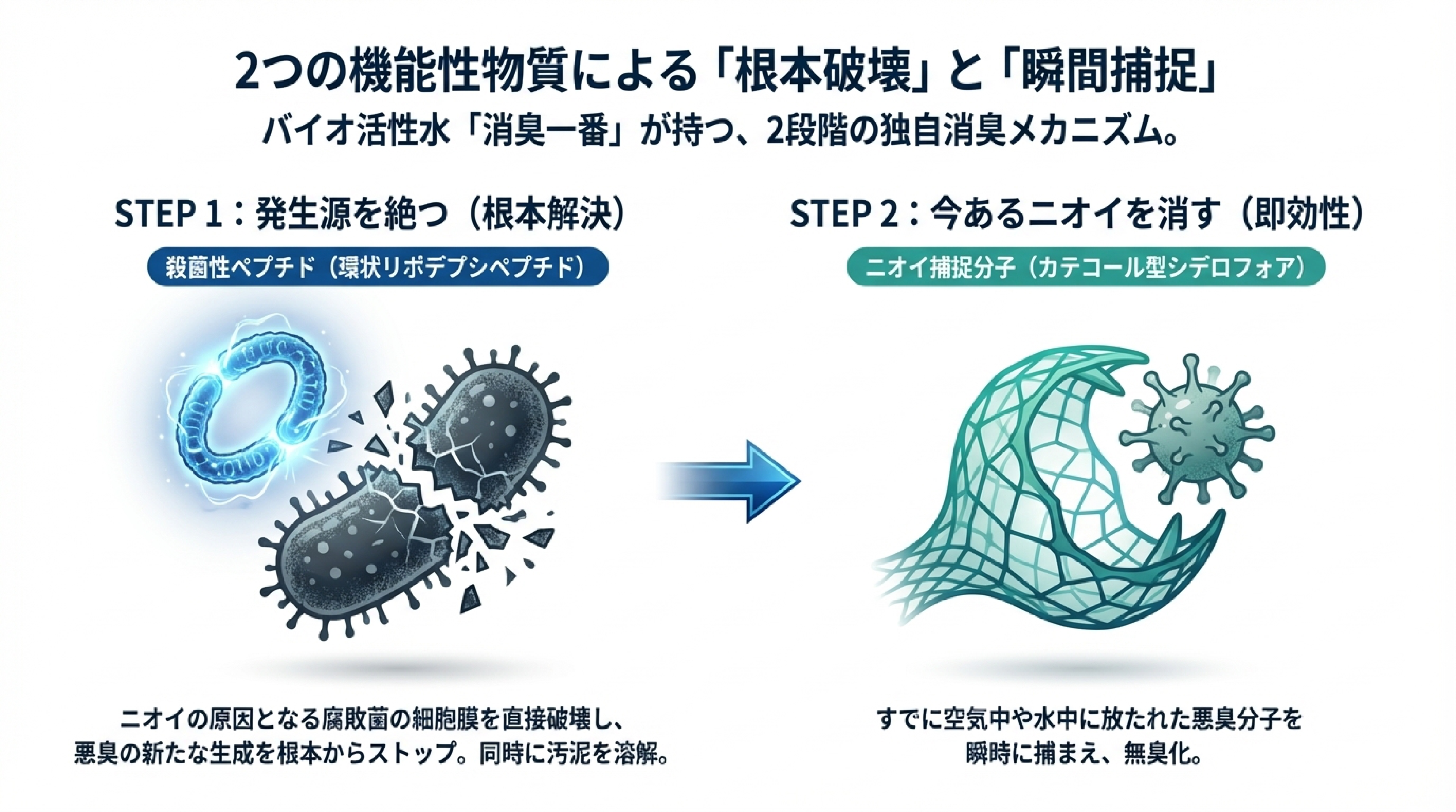 2つの機能性物質による根本破壊と瞬間捕捉
