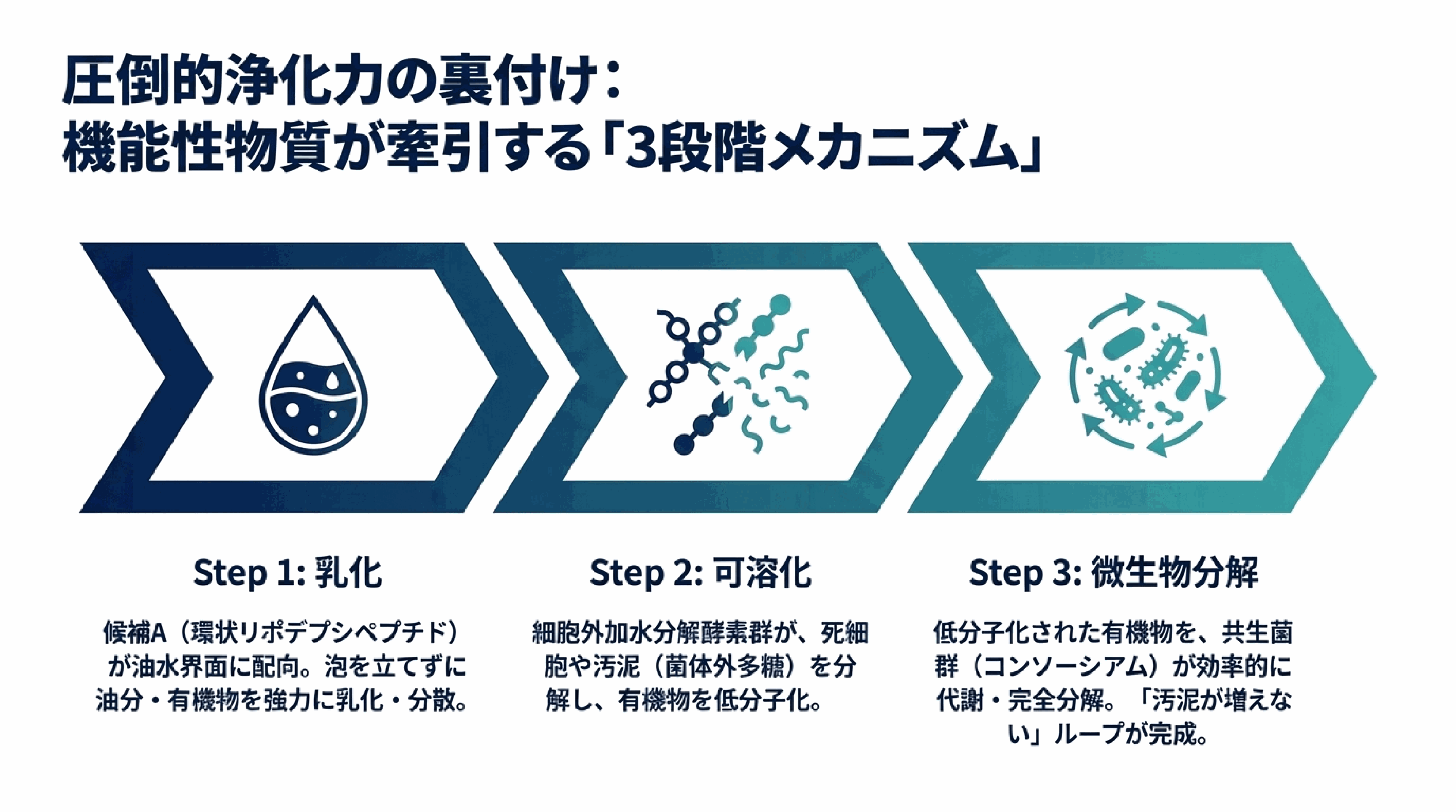3段階メカニズム：乳化→可溶化→微生物分解